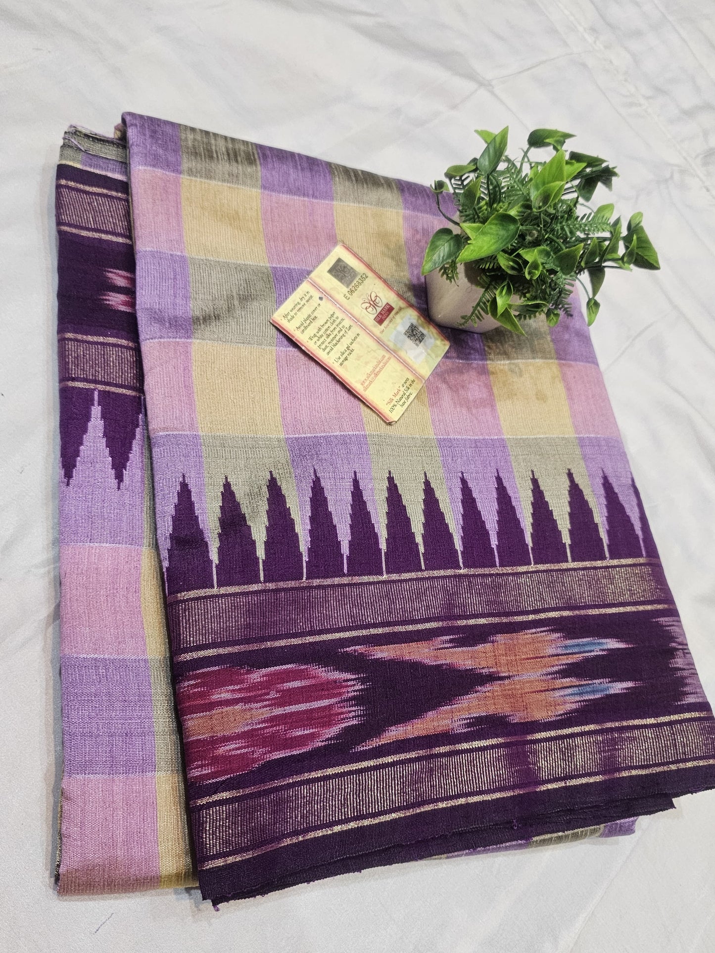 RAW SIL WITH TEMPLE BORDER